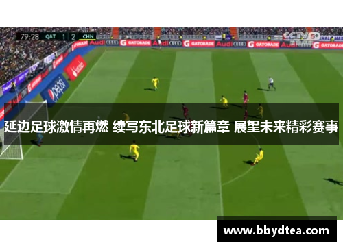 延边足球激情再燃 续写东北足球新篇章 展望未来精彩赛事