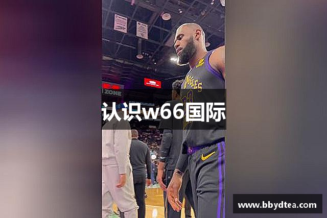 认识w66国际